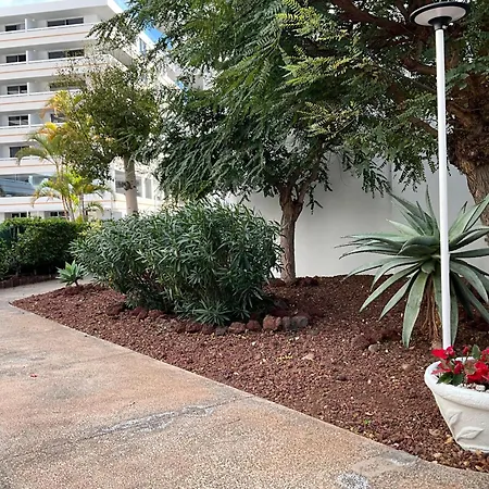 Dream Americas Iconic Pearl! Appartement